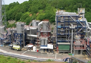 エコシステム小坂